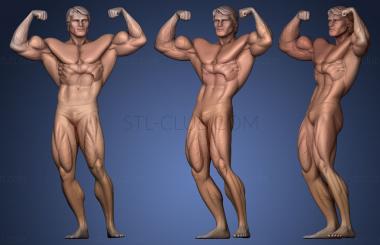 3D model Arnie (STL)